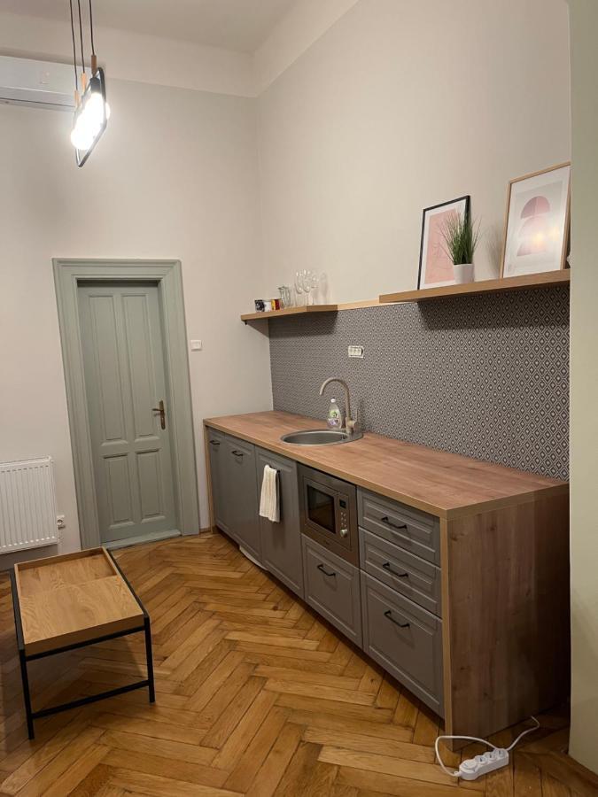 Barty Downtown Apart 1 Timişoara Exteriör bild